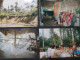 Delcampe - Lote 32 Fotos Originales Paseo Turismo Por Los Ríos Pacuyacu Y Aguarico (Ecuador) - America