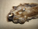 Delcampe - Vintage Real Fox Fur Brown Leather Collar 105cm(41'') #0287 - Foulards
