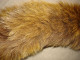 Delcampe - Vintage Real Fox Fur Brown Leather Collar 105cm(41'') #0287 - Scarves