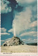 White Dome Geyser , Yellowstone - Yellowstone