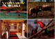 12-8-2023 (2 T 18) Australia - VIC - Mildura (birds And Wild Cow) + Hotel & Pool - Mildura