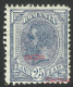 Error  Romania  Charles I   1900  MLH   - Line In The Beard And Point In The Bottom Frame. - Ongebruikt