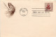 USA - FDC - LOT - N° 5 COVERS - 1981-1990