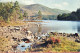 Loch An Eilean 1962- A Small Pine-fringed Loch In The Forest Of Rothiermurchus - J.A.Dixon 3573 - Inverness-shire