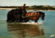 CPM - GOÉMONIER (Région Plouguerneau) - Charretée De Goémon (attelage De Cheval) - Edition Jack - Plouguerneau