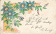 Fantaisie Frise Fleur Pervenche Bleue ? 1903 - Autres & Non Classés