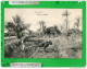 EGYPTE BLANTEUR EN EGYPTE ( Expédiée De Port Said 1917 ) - Port-Saïd