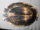 Delcampe - Vintage Hand Carved And Painted Wooden Plate For Home Décor #0641 - Plates