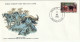 CONGO - 3 Env. FDC, WWF, Buffle, Rhinoceros, Okapi - 1978 - Médaillier Franklin N° 82-85 - FDC