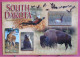 Etats-Unis - South Dakota - From The Vast Plains - Bison - Marmotte - Autres & Non Classés