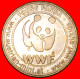 * BROWN BEAR: AUSTRIA  WWF For Kids UNC MINT LUSTRE TO BE PUBLISHED! ·  LOW START · NO RESERVE! - Firma's