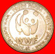 * BROWN BEAR: AUSTRIA  WWF For Kids UNC MINT LUSTRE TO BE PUBLISHED! ·  LOW START · NO RESERVE! - Professionnels / De Société