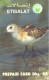 United Arab Emirates:Used Phonecard, 25 DHS., Bird - Uccelli Canterini Ed Arboricoli
