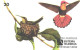 Brazil:Brasil:Used Phonecard, Sistema Telebras, 20 Units, Bird, Chrysolampis Mosquitus, 1997 - Uccelli Canterini Ed Arboricoli