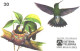 Brazil:Brasil:Used Phonecard, Sistema Telebras, 20 Units, Bird, Amazilia Versicolor Versicolor, 1997 - Pájaros Cantores (Passeri)