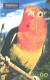 Brazil:Brasil:Used Phonecard, Telefonica, 60 Units, Bird, Parrots, 2000 - Perroquets