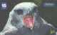 Brazil:Brasil:Used Phonecard, Telefonica, 30 Units, Bird, Morphnus Guianensis, 2001 - Eagles & Birds Of Prey