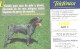 Spain:Used Phonecard, Telefonica, 1000 Pta, Dog, 2002 - Dogs