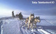 Sweden:Used Phonecard, Telia, 60 Markers, Dogs In Front Of Sleigh - Cani