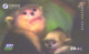 China:Used Phonecard, China Telecom, 20+2 Y, Monkey With Son, 2003 - Oerwoud