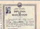 MATURITY DIPLOMA, ORADEA MIDDLE SCHOOL, 1963, ROMANIA - Diplômes & Bulletins Scolaires