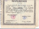 MATURITY DIPLOMA, ORADEA MIDDLE SCHOOL, 1963, ROMANIA - Diplômes & Bulletins Scolaires