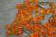 Beautiful Vintage Beads From Amber 58 Gr 136 Sm - Colliers/Chaînes