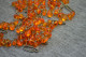 Beautiful Vintage Beads From Amber 58 Gr 136 Sm - Necklaces/Chains