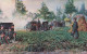 MILITARIA - Soldats Dans La Forêt - Colorisé - Carte Postale Ancienne - Characters