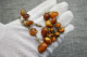 Beautiful Baltic Amber Jewelry 30 Gr - Kettingen