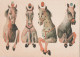 Humour - Das Meer In Kleiner Flasche - Horses - Chevaux - Illustrateur Dusan Kallay - Humour