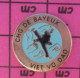 313d Pin's Pins / Beau Et Rare / SPORTS / JUDO KARATE VIET VO DAO CHG DE BAYEUX - Judo