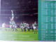 Delcampe - 2007 Ireland Rugby World Cup Stamp Presentation Pack - 2007 Ireland Pack Rugby - Collezioni & Lotti