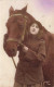 MILITARIA - Une Femme Soldat Et Son Cheval - Colorisé - Carte Postale Ancienne - Guerra 1914-18