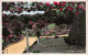 La Roseraie De Bagatelle, Située Dans Le Parc De Bagatelle Au Bois De Boulogne - Cpsm Dentelée PF - Parks, Gardens