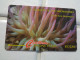 St.Vincent & The Grenadines Phonecard - St. Vincent & The Grenadines