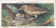 Birds & Their Young 1938,  Players Cigarette Card - 40 Female Song Thrush - Player's