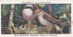 Birds & Their Young 1938,  Players Cigarette Card - 32 Red Backed Shrike - Player's