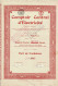 - Titre De 1923 - Comptoir Central D'Electricité - Namur - Electricité & Gaz