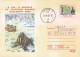 NORTH POLE, ARCTIC WILDLIFE, WALRUS, COVER STATIONERY, ENTIER POSTAL, 2002, ROMANIA - Arctic Wildlife