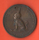 Italia Medaglia Risorgimento Ai Collaboratori E Veterani Ex Granducato Di Toscana 1884 Risorgimentali Copper Medal - Italy