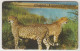 ΝΑΜΙΒΙΑ - Cheetah - Acinonyx Jubatus ,CN:NAEIA - Dashed Zero ,10 $ ,used - Namibia