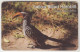 ΝΑΜΙΒΙΑ - Yellow Billed Hornbill (Bird) ,20 $ ,used - Namibia