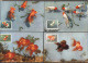 CHINA - KINA -  GOLD  FISH  On  POSTCARDS - Complet Set 12 V -  ORGINAL  CARD - Cto  MC - 1960 - PERFECT - RARE - Lettres & Documents