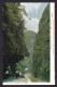 Taiwan: Picture Postcard To Netherlands, 1998, 1 Stamp, Orange Fruit, Flower, Vase, Card: Cliff (minor Discolouring) - Storia Postale