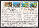 Taiwan: Picture Postcard To Germany, 1996, 4 Stamps, Sea Slug Animal, Coast, Rock Cliff, Monument (minor Crease) - Covers & Documents