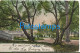 212123 URUGUAY MONTEVIDEO VISTA PARCIAL EL PRADO CIRCULATED TO ARGENTINA POSTAL POSTCARD - Uruguay