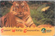 CARTE-MAGNETIQUE-SINGAPOUR-10$-TIGRE-Plastic Epais Glacé-Gratté-TBE/RARE - Giungla