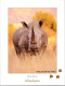 22-8-2023 (2 T 70) White Rhinoceros In Africa - Rhinozeros