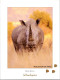 22-8-2023 (2 T 70) White Rhinoceros In Africa - Rhinocéros